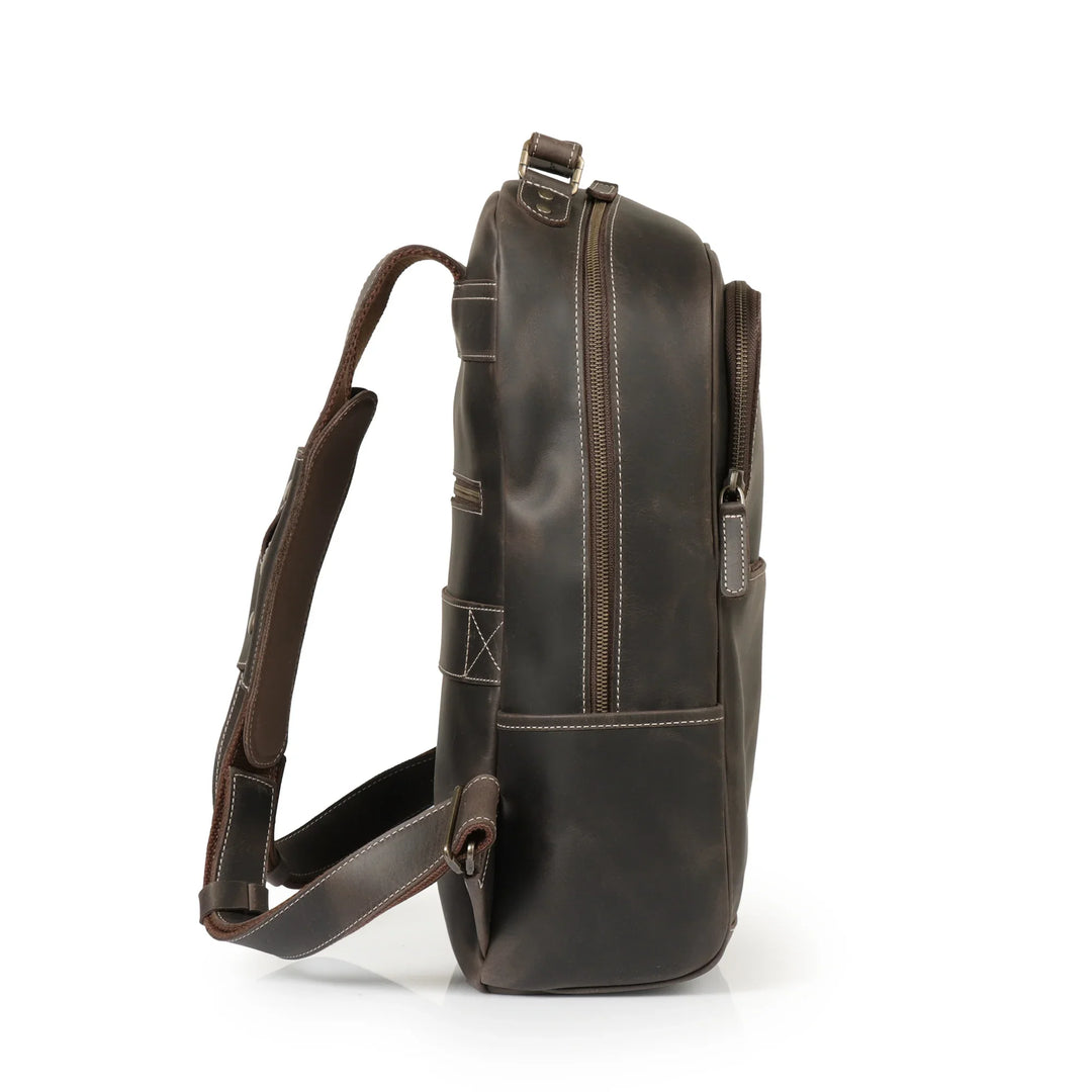 backpack designed for carry on luggage leather Frances Leather Travel Backpack Laptop Backpack, Chestnut